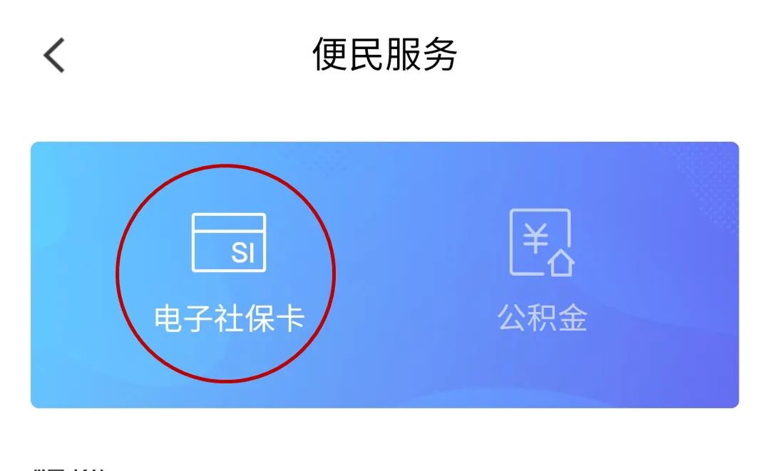 重磅！电子社保卡上线“个人养老金”功能 华夏、广发、招商等巨头入驻！