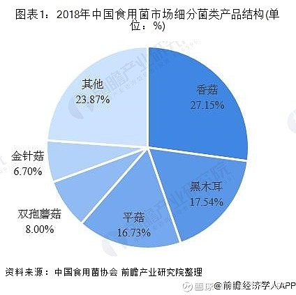 食用菌行业市场预测 2024我国食用菌年产量已达4000多万吨_人保车险,人保财险 