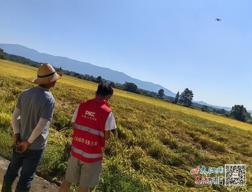 去年全国粮食收购量超4亿吨 2024粮食行业市场前景预测_人保服务 ,人保财险 