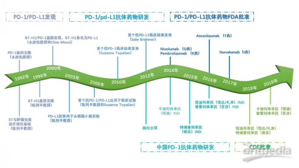 酶制剂产业市场现状与子行业发展分析_人保服务 ,保险有温度