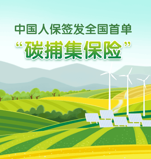 人保服务,人保护你周全_2024粮食加工行业市场规模分析：山东打造粮食产业高质量发展“动力引擎”