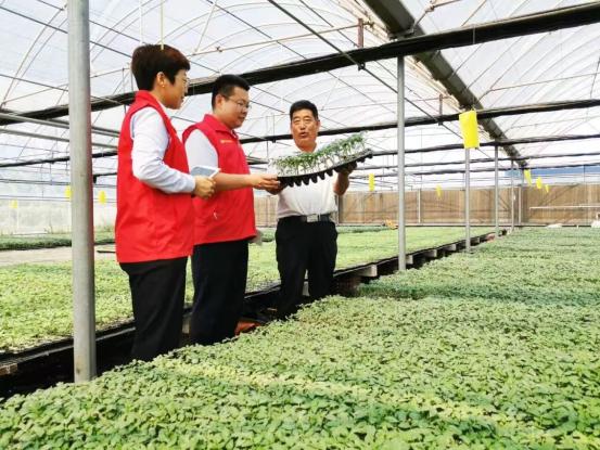 人保服务,人保护你周全_2024粮食加工行业市场规模分析：山东打造粮食产业高质量发展“动力引擎”