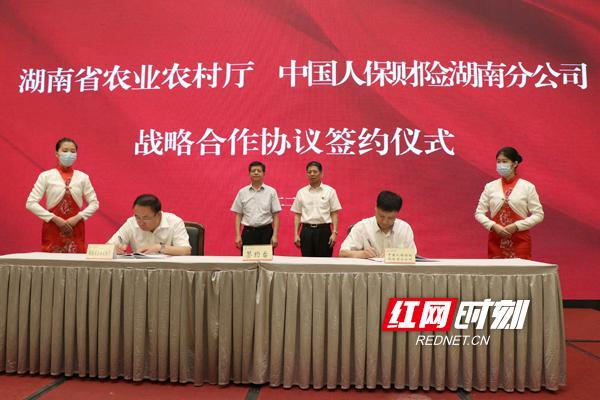 音乐内容行业市场调查与发展前景分析_人保服务 ,人保财险政银保 