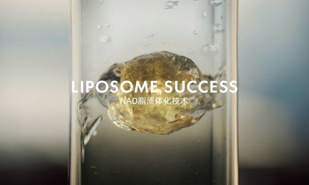 烟酰胺行业实现现状及前景趋势分析 预计2029年将达到82亿元_保险有温度,人保车险