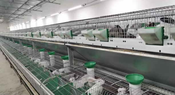 人保服务 ,人保护你周全_食品包装产业未来发展趋势分析报告