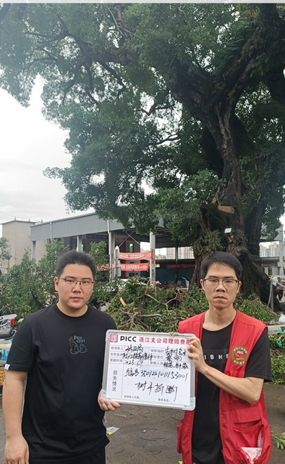 女装市场现状及前景趋势研究分析_人保服务 ,人保财险政银保 