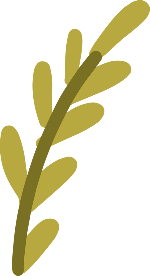 一周保险速览(6.28—7.5)