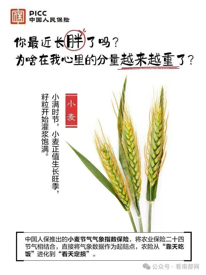 保险有温度,人保车险_无人机北京天宇创通