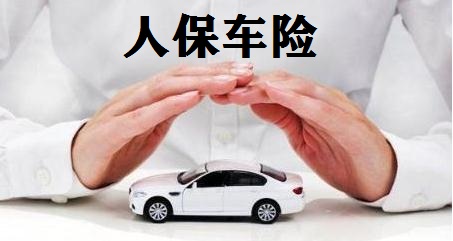 人保车险   品牌优势——快速了解燃油汽车车险,人保服务_无人机拍下象群睡觉