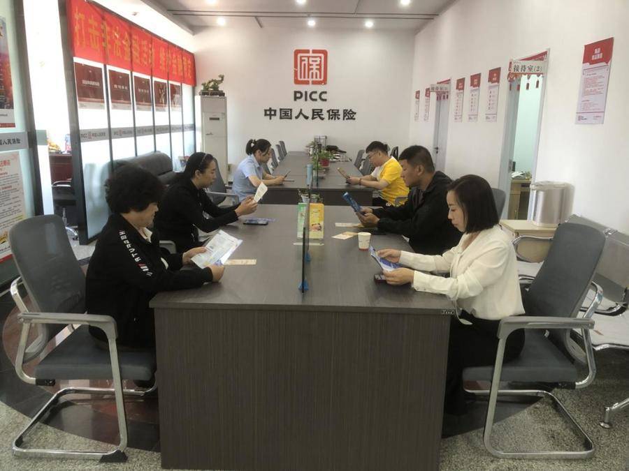 石斑鱼行业市场发展现状及市场规模分析2024_人保伴您前行,人保护你周全