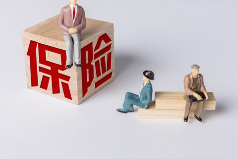 保险有温度,人保财险政银保 _果蔬行业市场发展发展现状、前景趋势研究分析