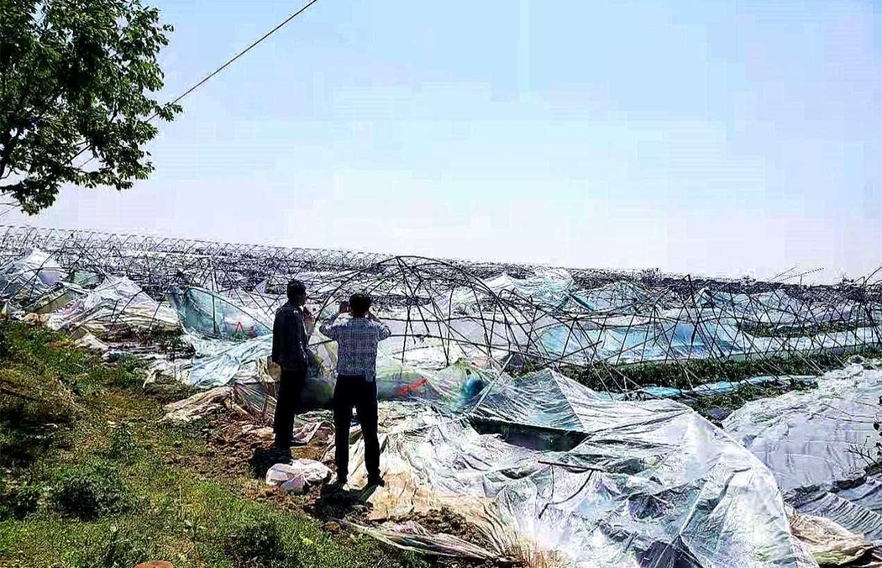 人保财险 ,人保护你周全_园林景观行业市场现状、前景趋势研究分析