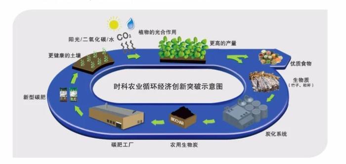 人保服务,人保财险政银保 _双碳领域政策密集出台 双碳经济未来市场展望分析