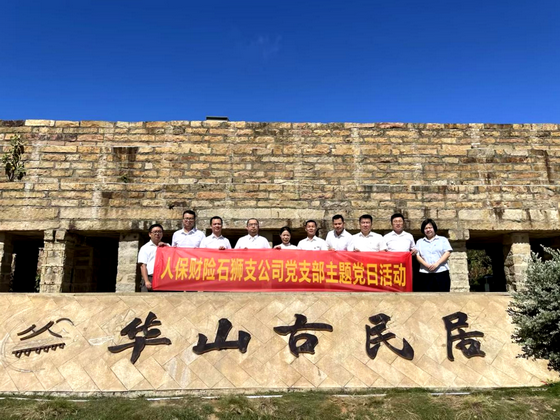 人保伴您前行,人保财险政银保 _电灶具行业市场规模及供需格局分析2024