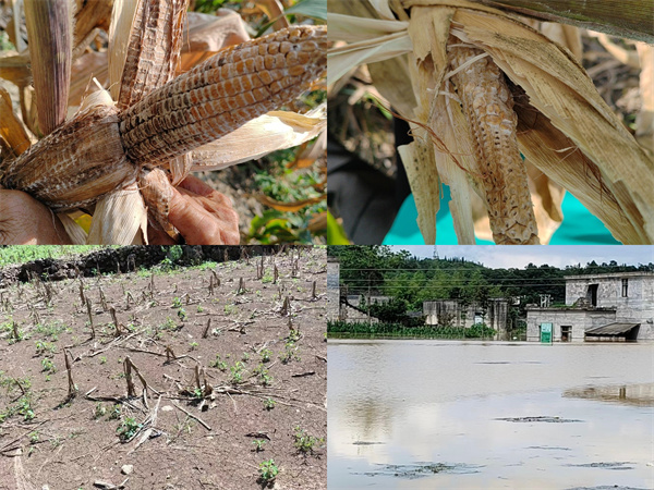 2024大气污染产业链上下游发展现状及竞争格局分析_人保财险政银保 ,拥有“如意行”驾乘险，出行更顺畅！