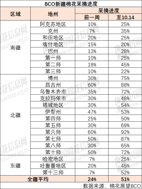 2024年12月4日今日现货棉花价格最新报价多少钱一吨