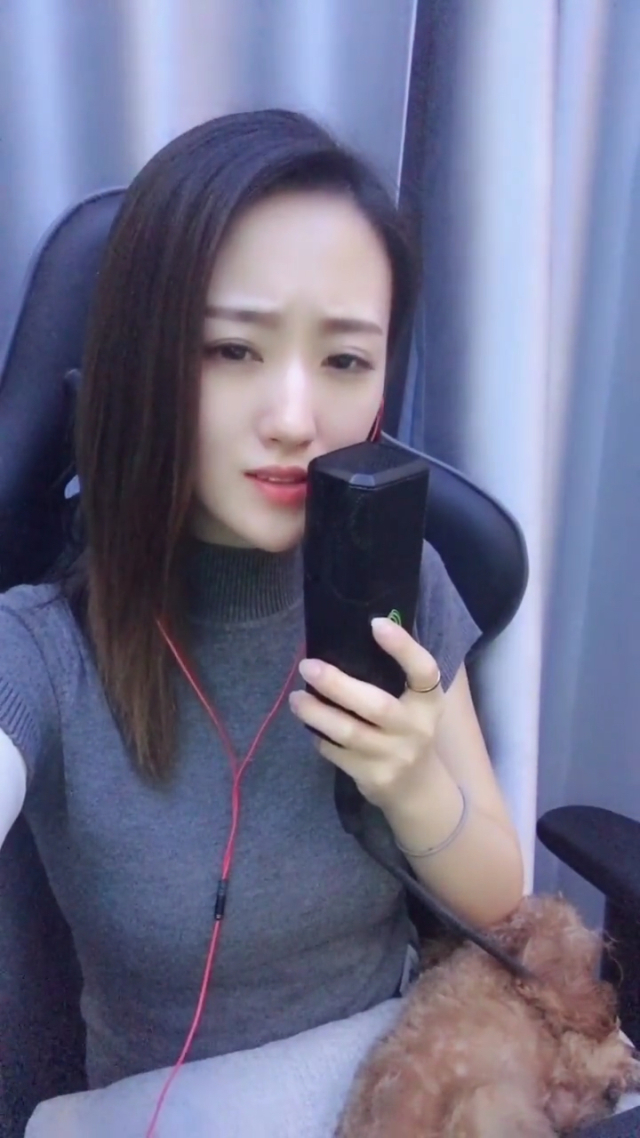 主题乐园行业供需分析及前景预测_人保服务,人保护你周全