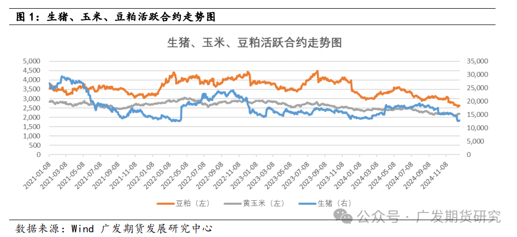 （2025年1月22日）今日生猪期货最新价格查询