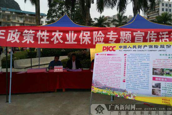 保险有温度,人保伴您前行_2025年杂粮行业现状与发展趋势分析