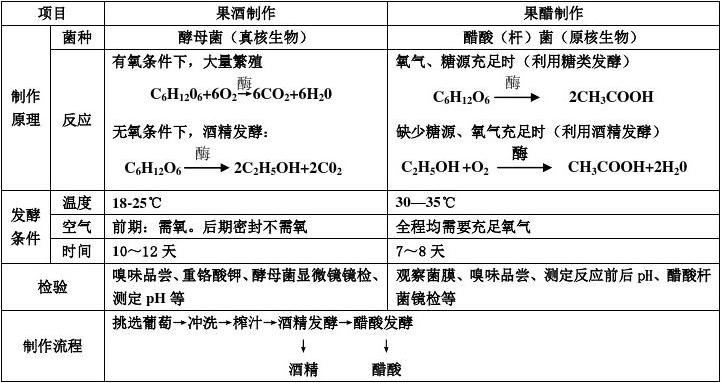 2025年发酵果酒行业市场发展趋势：量价齐升_拥有“如意行”驾乘险，出行更顺畅！,人保有温度