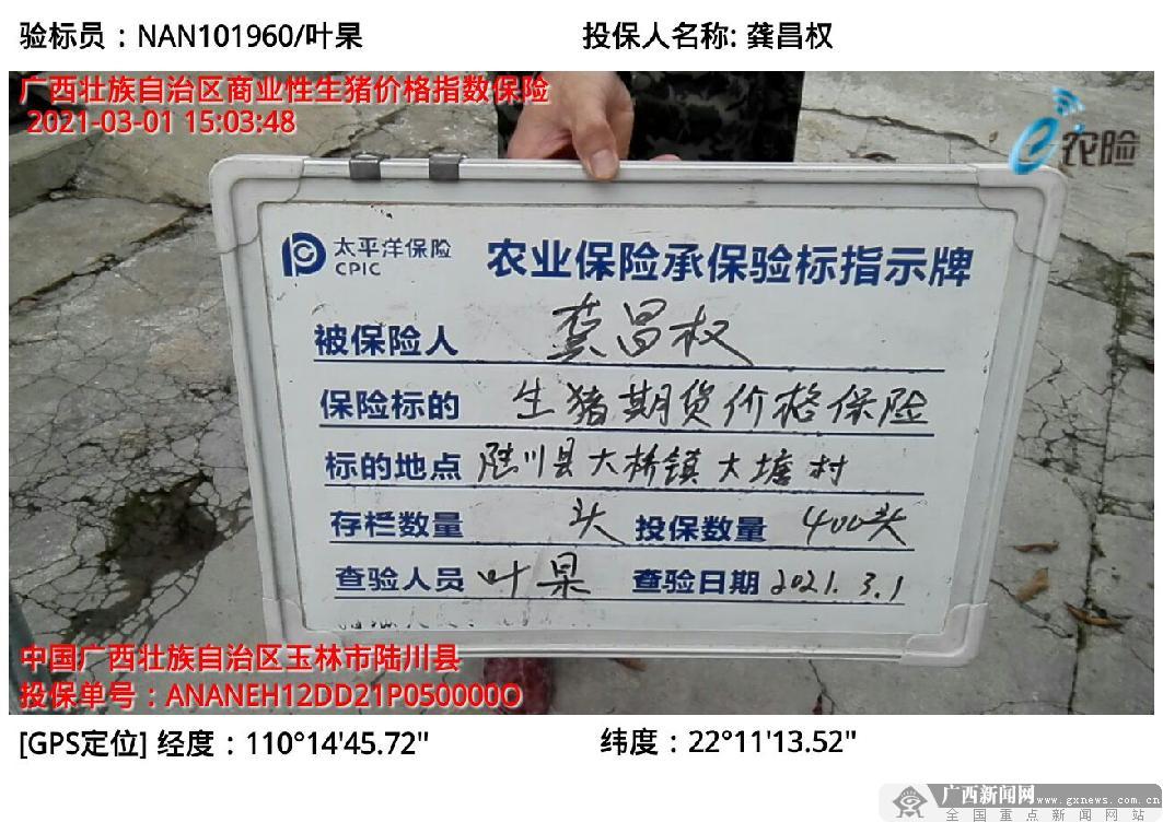 因编制虚假报表，太保产险多地支公司及责任人员接连被罚，本月累计罚没超89万元