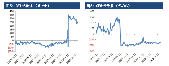 （2025年3月21日）今日棉花期货价格最新价格查询
