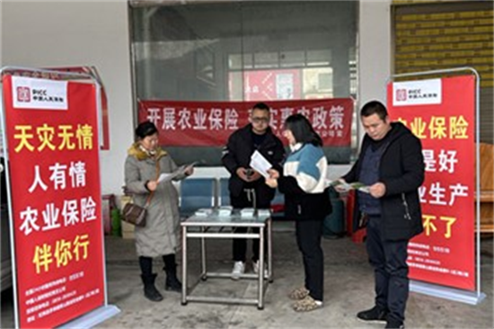 2025年乳清粉行业发展潜力建议及深度调查预测_保险有温度,人保财险 