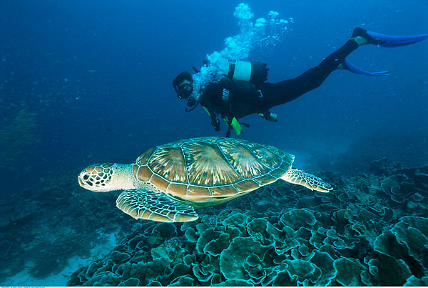 康力电梯服务坦桑尼亚桑给巴尔国际机场