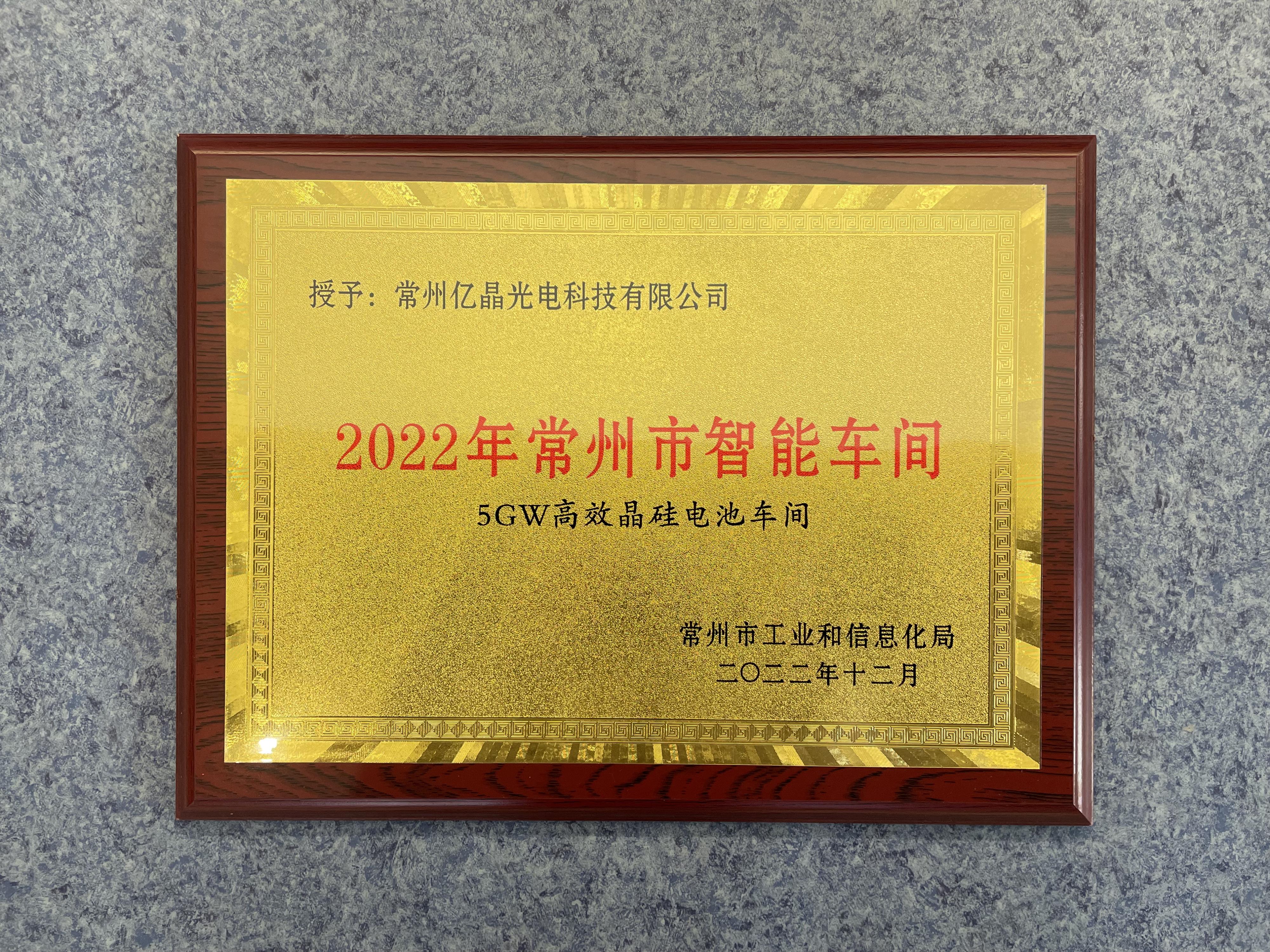亿晶光电3月28日大宗交易成交204.16万元