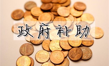 上海钢联(300226.SZ)：子公司收到政府补助2152万元