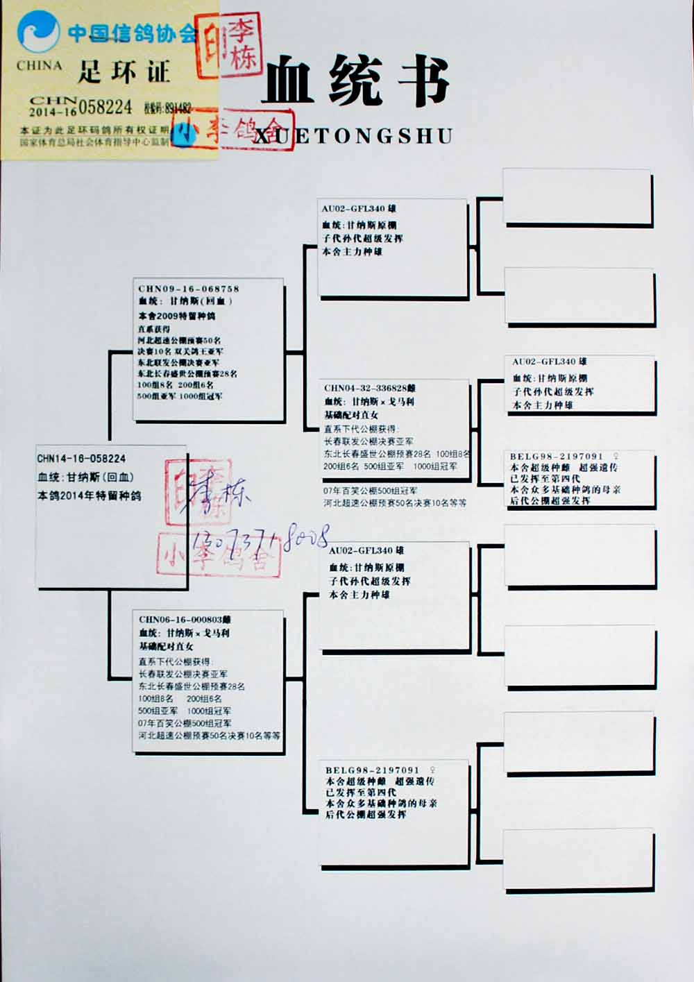 招商银行：招财金业务黄金合约保证金与涨跌停板比例双调整