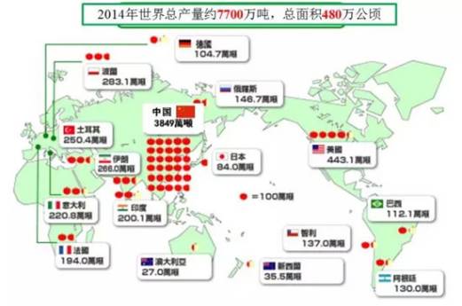 4月9日收盘苹果期货资金流出2099.04万元