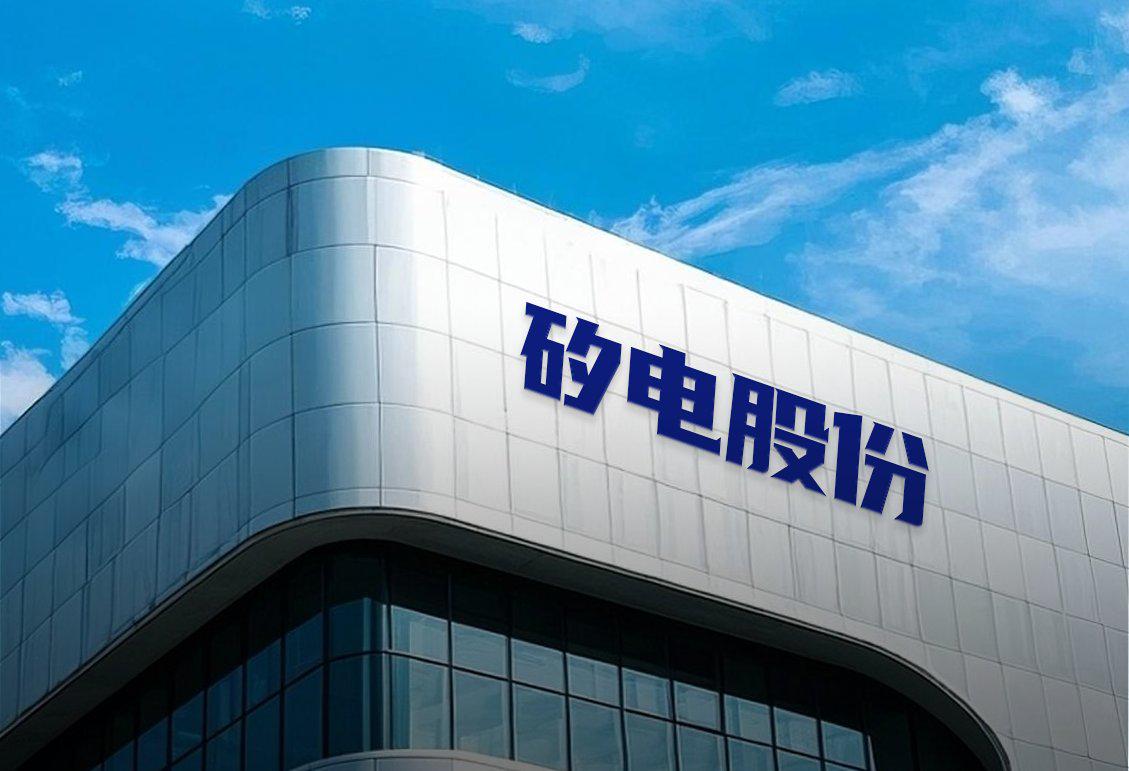 矽电股份：4月9日高管赵英增持股份合计100股
