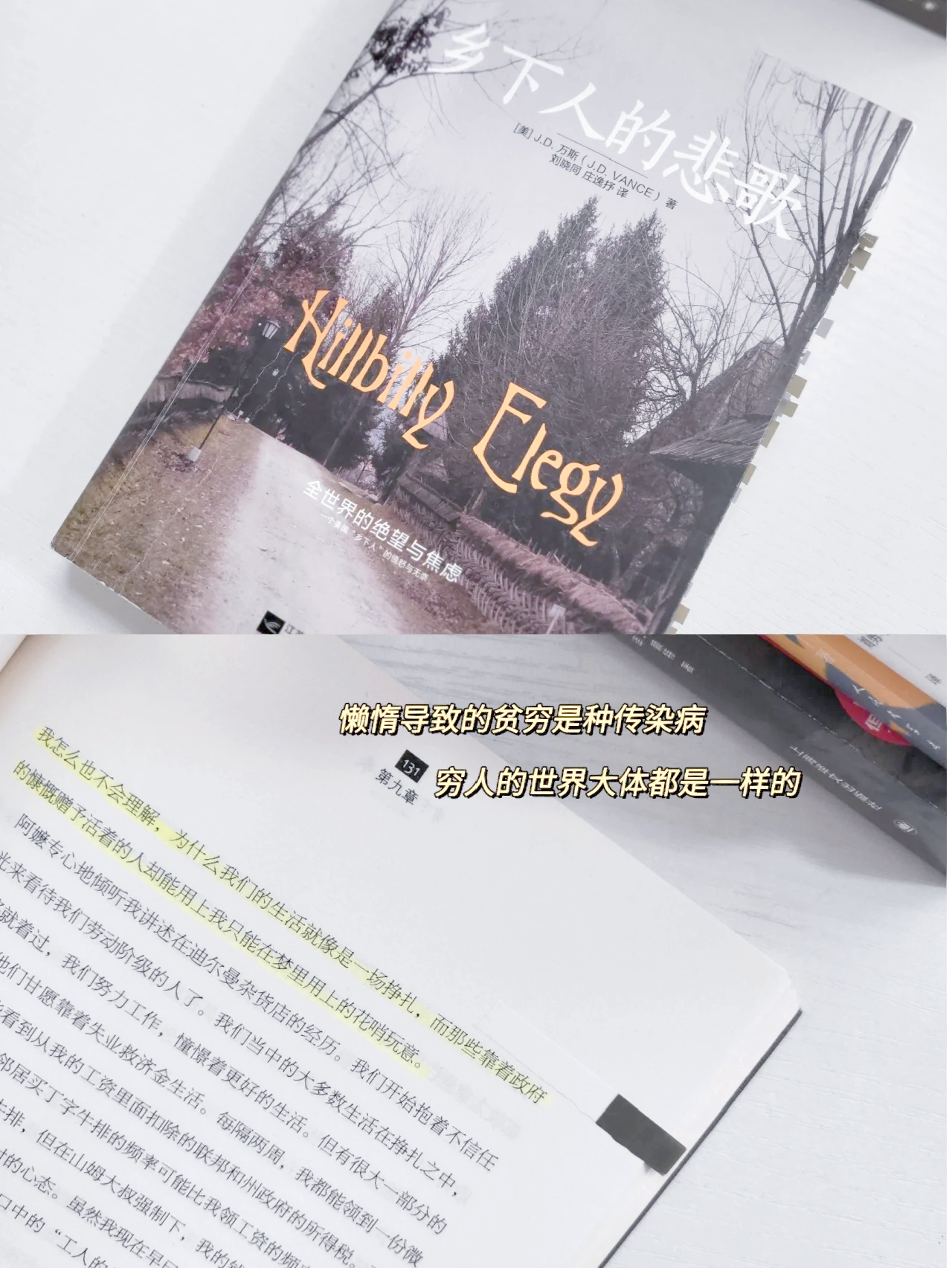 J．D．万斯：十字路口的“乡下人” ――评《乡下人的悲歌》