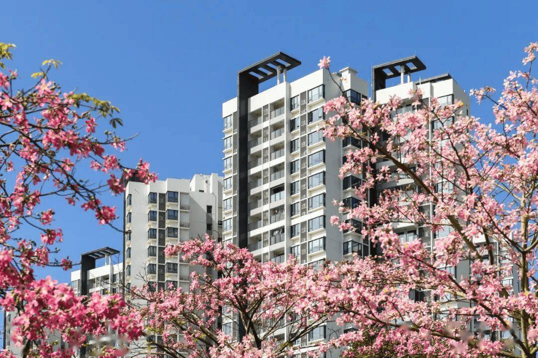国家统计局：3月份一线城市新建商品住宅销售价格环比上涨0.1% 涨幅与上月相同