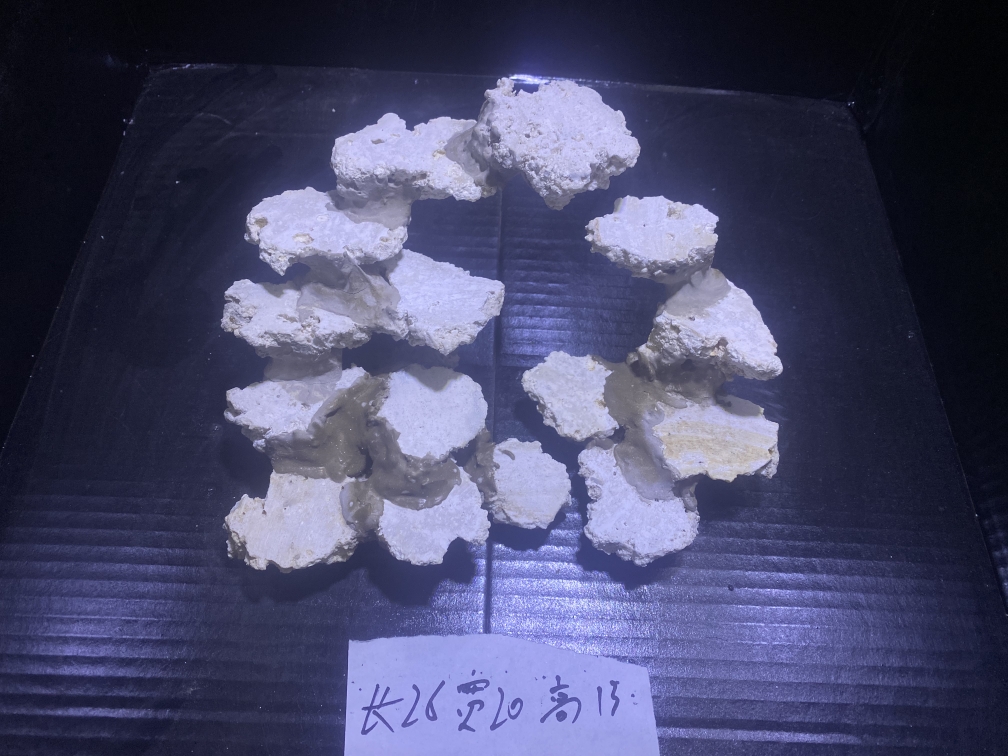 人保车险   品牌优势——快速了解燃油汽车车险,人保服务_2025年海水淡化行业未来发展趋势：技术突破、场景深化、全球拓展