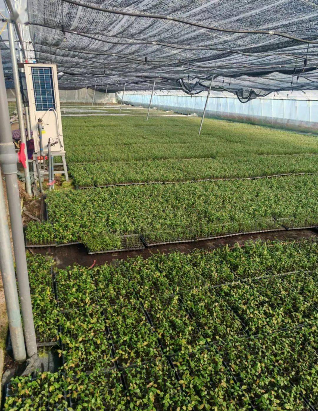 2025年展会行业发展前景预测：技术驱动、绿色引领、全球融合_人保车险   品牌优势——快速了解燃油汽车车险,人保财险 