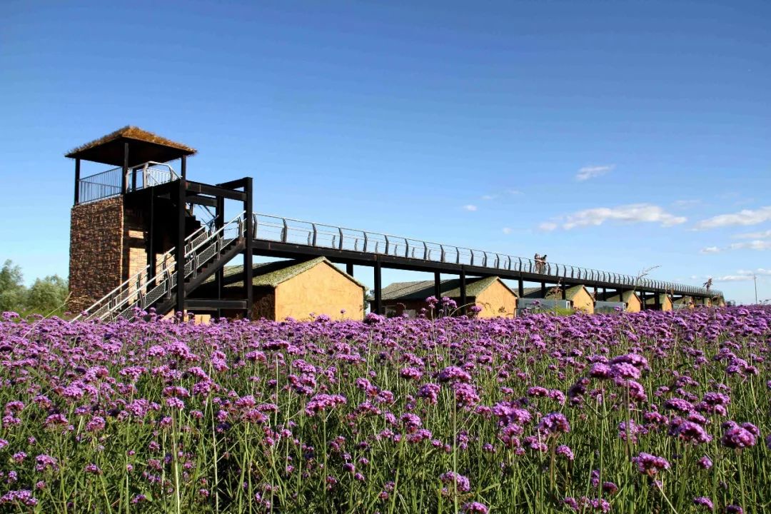 蒙草生态获得发明专利授权：“一种智慧数字化养殖场”