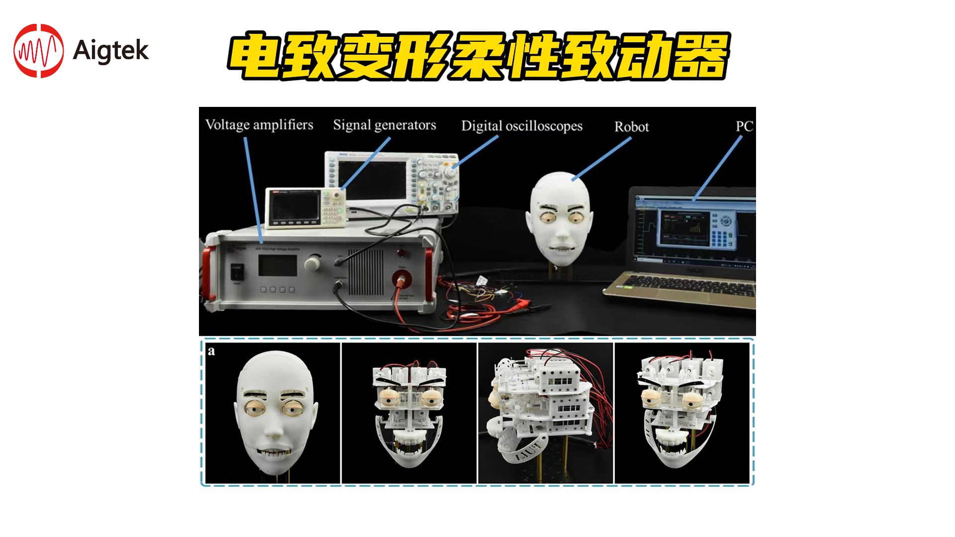 泰坦股份：强化人工智能和柔性纺织机器人的创新研发与应用