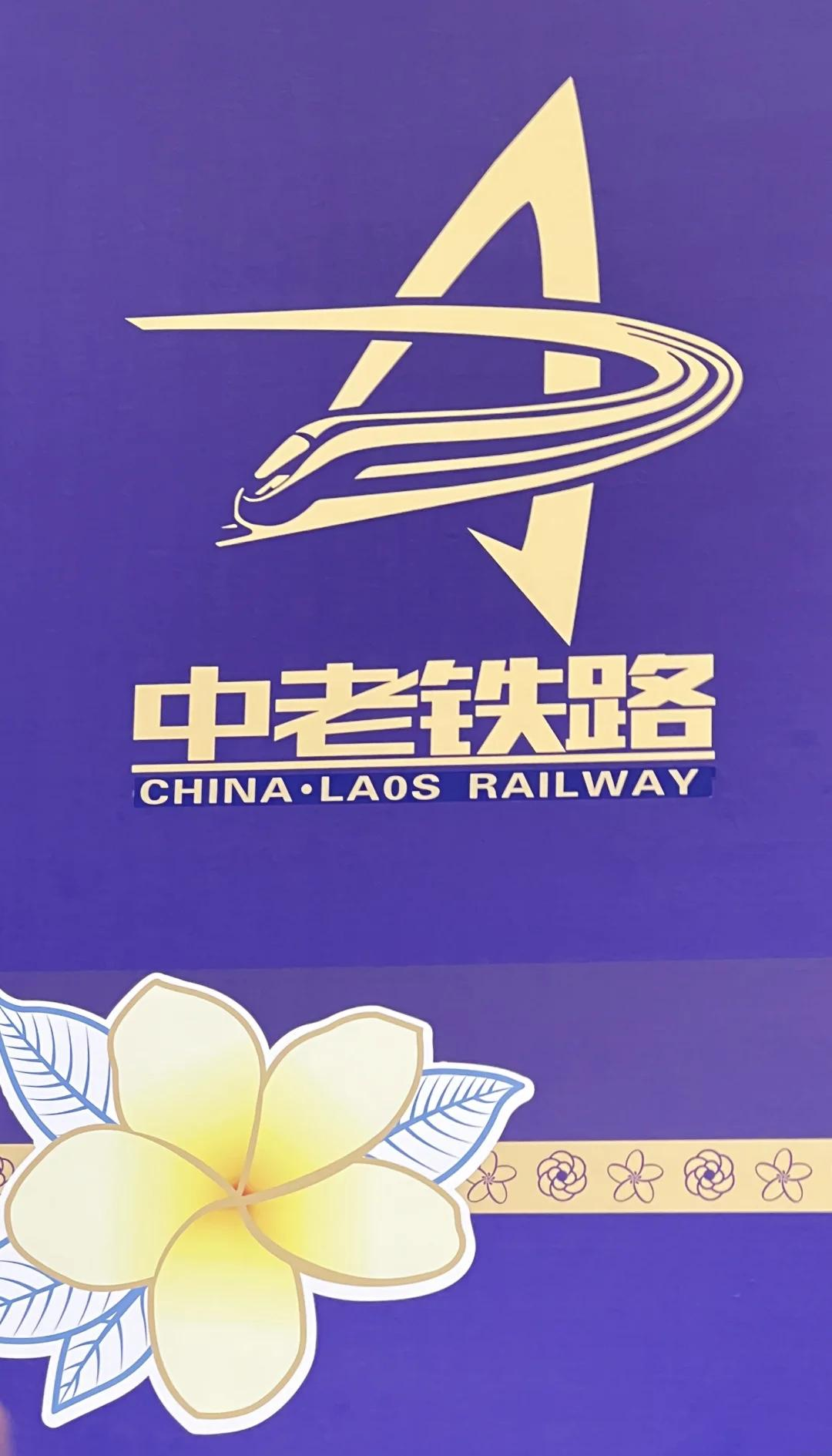 中国和老挝就中老铁路“一地两检”便利通关安排举行磋商