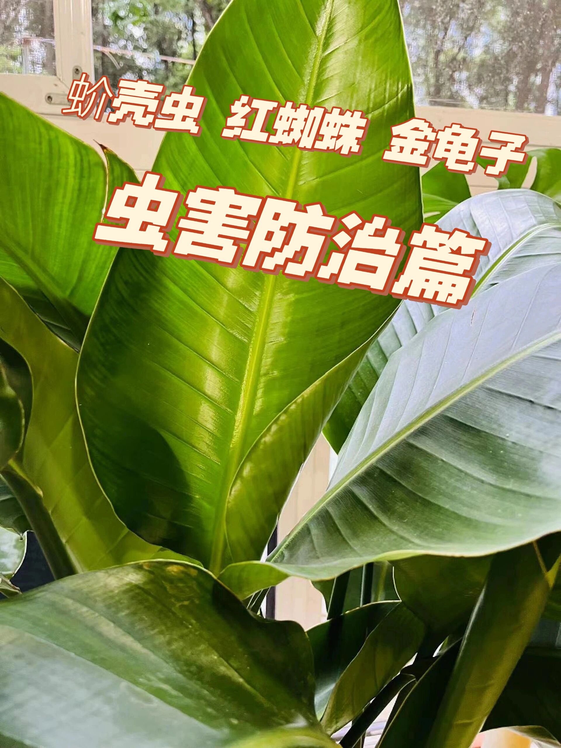 近期虫害防治概念股二级市场表现不俗