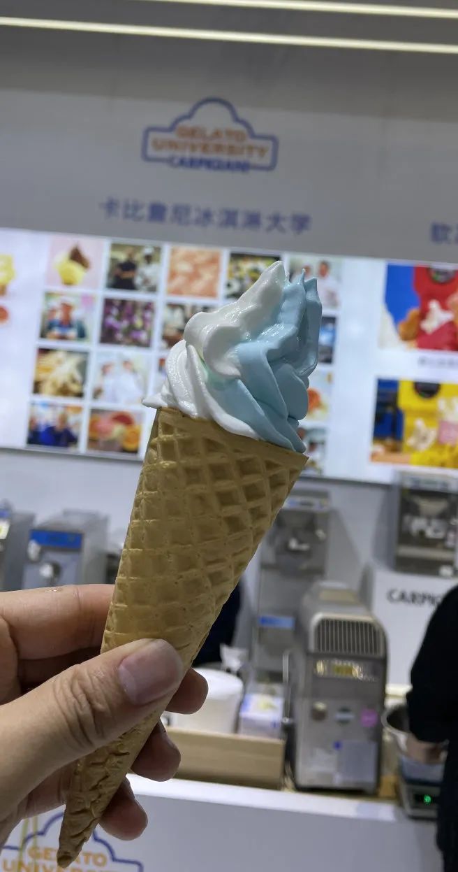 2025中国家用冰淇淋机行业:家庭用户和小型商业场所是主要的需求群体_人保护你周全,人保有温度