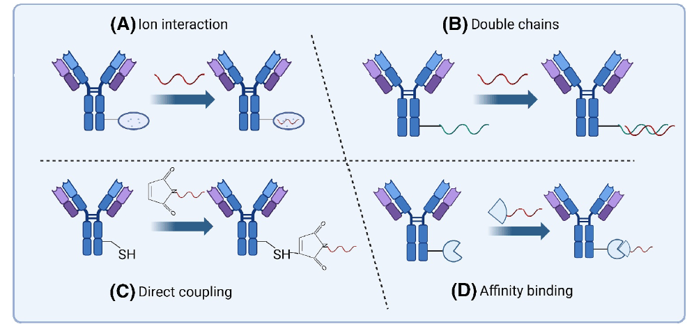 君实生物获得发明专利授权：“抗CLDN-18.2抗体药物偶联物及其用途”