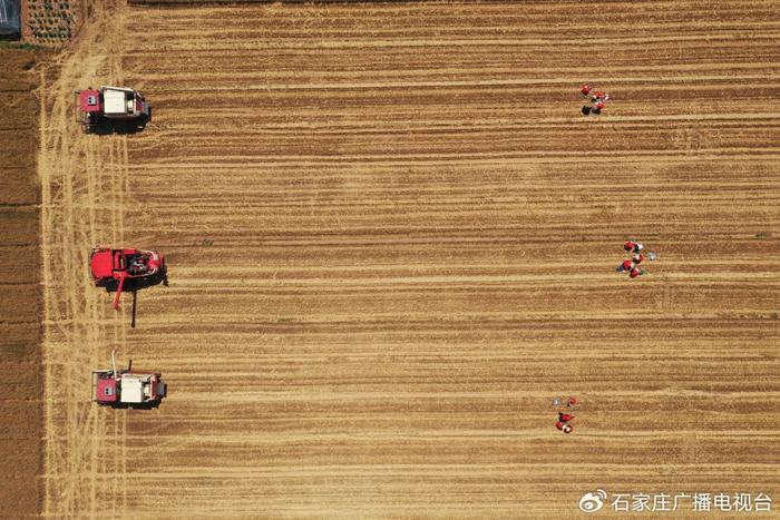 2025年小麦收割机行业现状与发展趋势分析_人保服务,拥有“如意行”驾乘险，出行更顺畅！