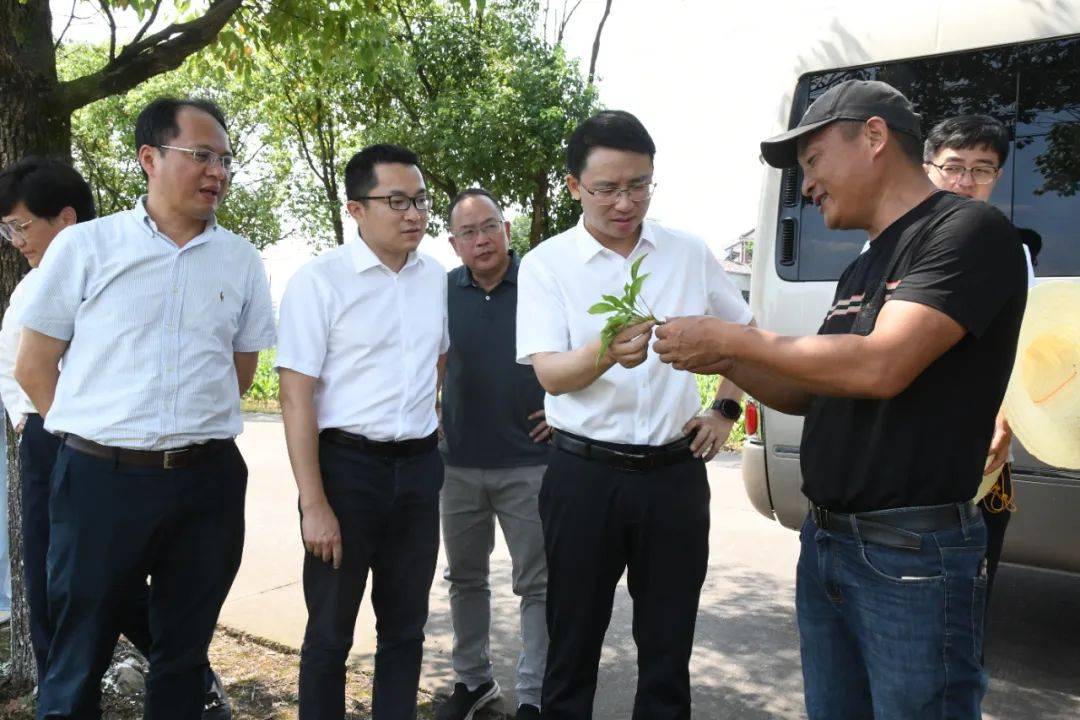 付一夫：新能源汽车新政为何瞄准县乡市场？