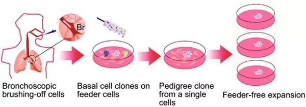 泰恩康：盐酸毛果芸香碱滴眼液临床试验已完成