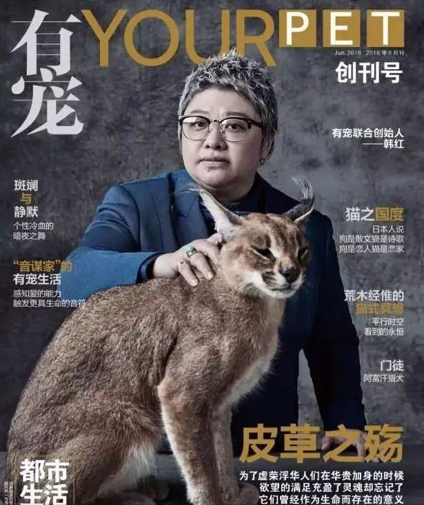 千亿宠物诊疗市场遭遇看病贵 宠物险理赔控费如何破局