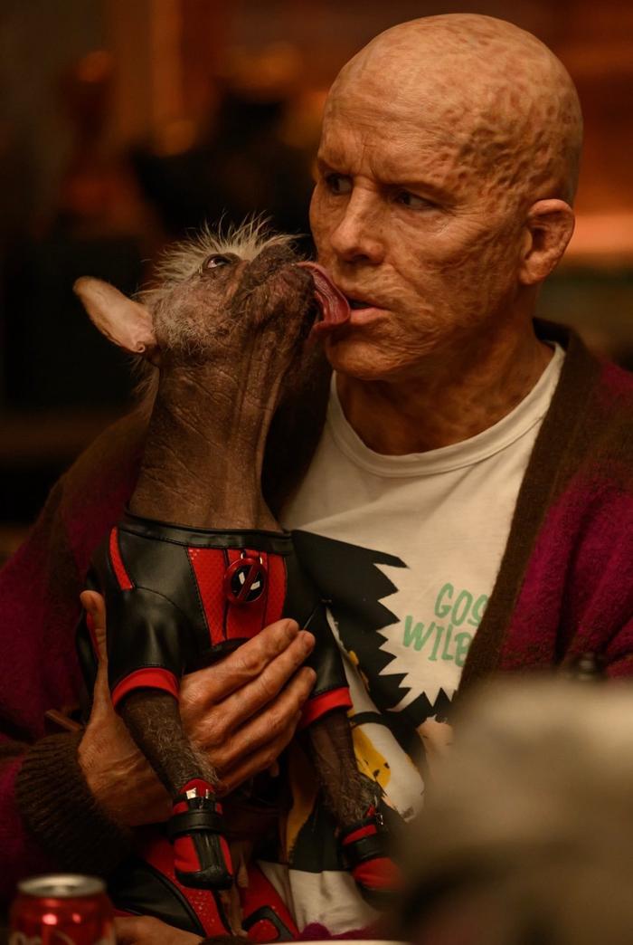 《红黄出击》――亨氏如何“劫持”《死侍与金刚狼》，成就一场文化级营销事件