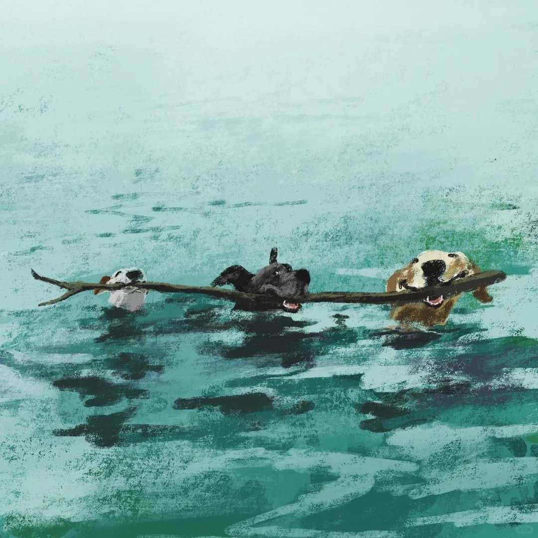 Jenny Bloomfield:用画笔编织童真与自然之梦的插画家