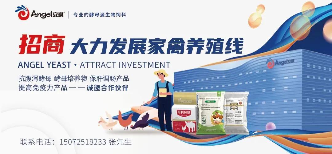 新乳业回应大股东首次减持